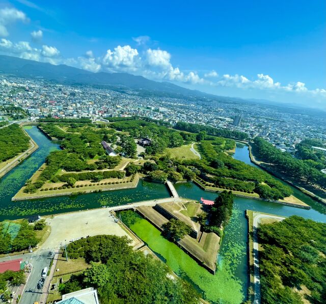 The five-pointed star fort of Goryokaku seen from the tower beside it, its moats green with water plants