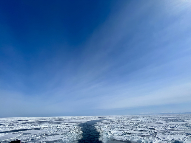 A narrow channel of open water cut through a plain of drift ice that stretches to the horizon under a high blue sky