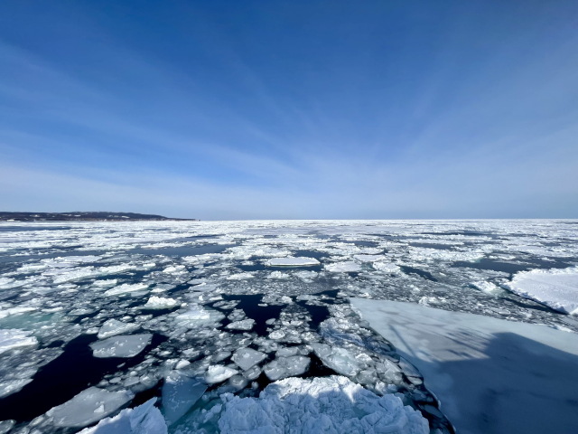 Broken sea ice filling the water from the foreground to the horizon under a deep blue sky, with a low snow-covered shoreline away to the left