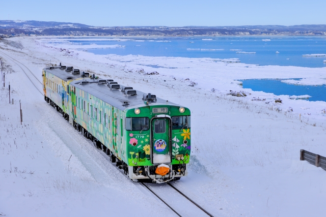 A two-car green diesel railcar painted with flowers running on a single snow-covered track above the shore, the sea beyond it packed with drift ice